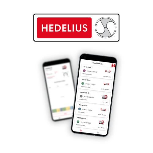 hedelius case study